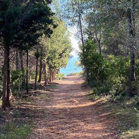 Villa Paula Alcossebre Mar Y Montana エクステリア 写真