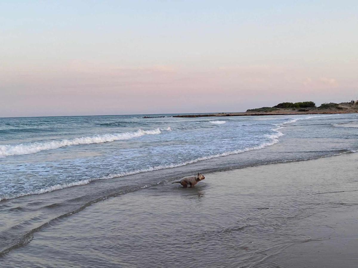 Villa Paula Alcossebre Mar Y Montana エクステリア 写真
