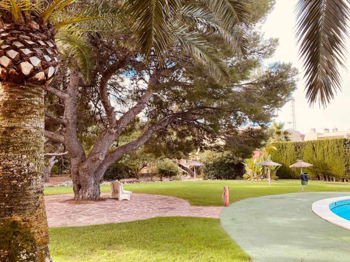 Villa Paula Alcossebre Mar Y Montana エクステリア 写真