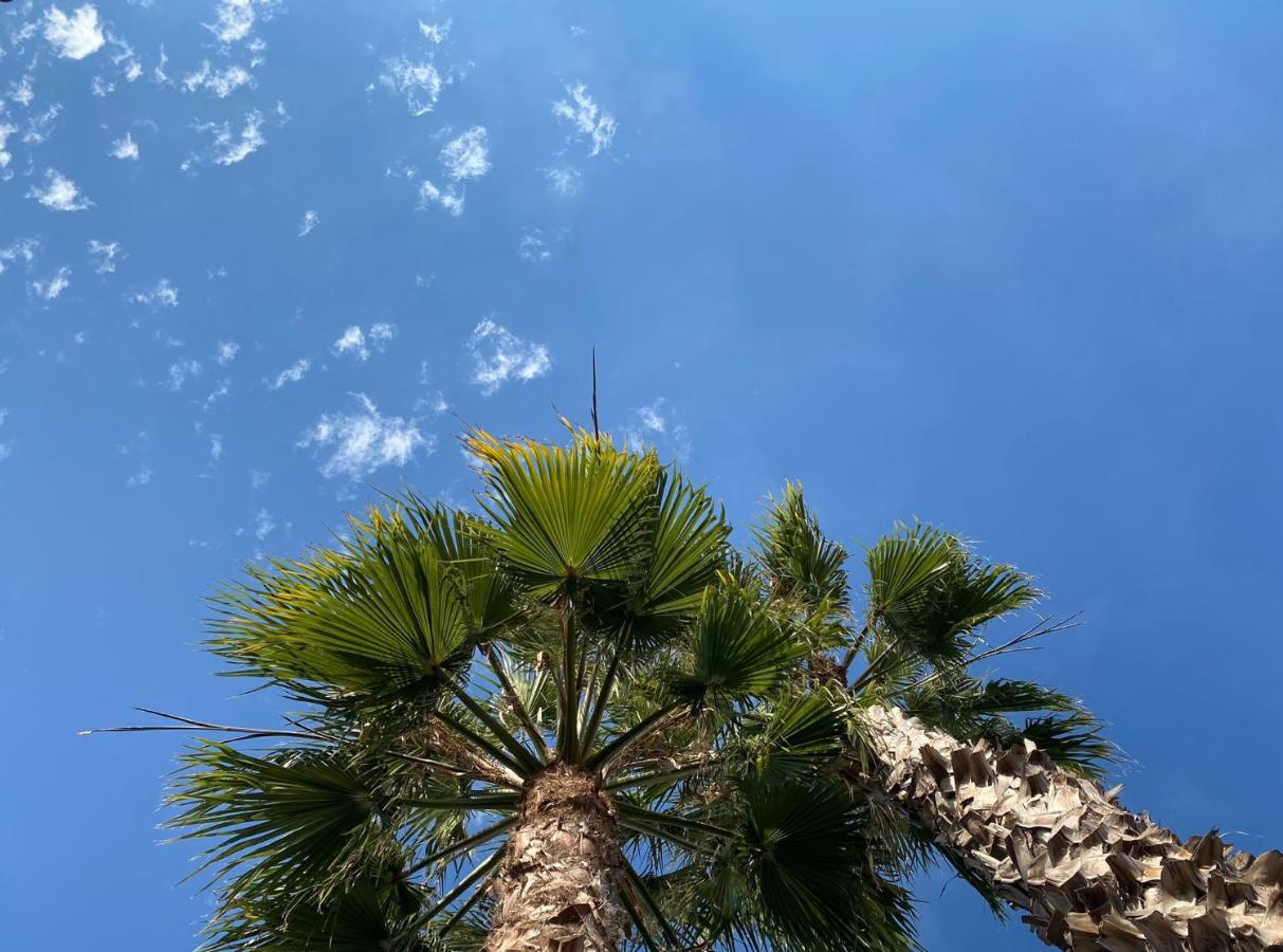 Villa Paula Alcossebre Mar Y Montana エクステリア 写真